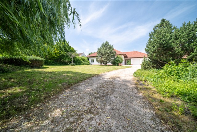 příjezd k domu [14/66]