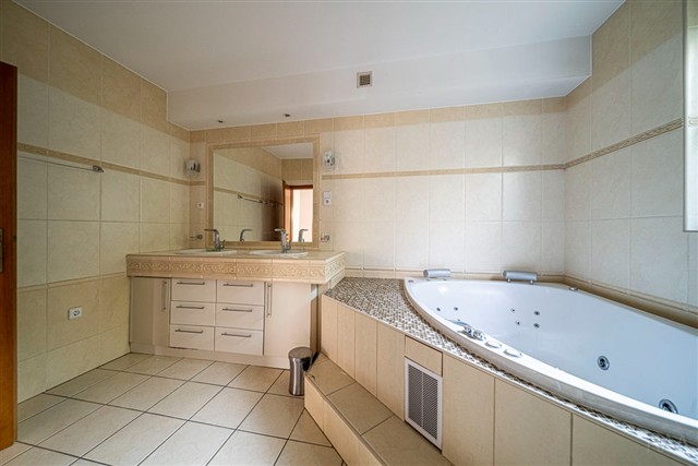 koupelna s rohovou vanou [52/66]