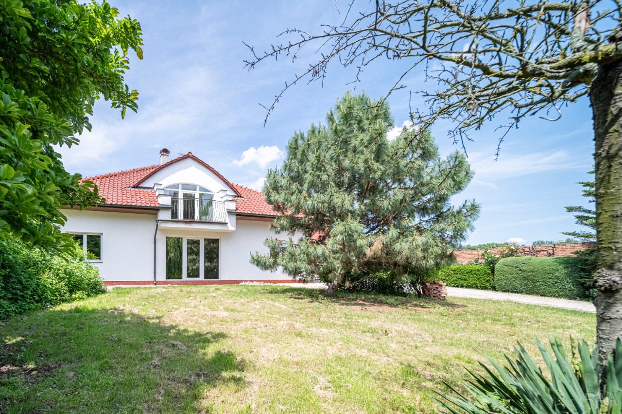 čelní pohled [1/66]